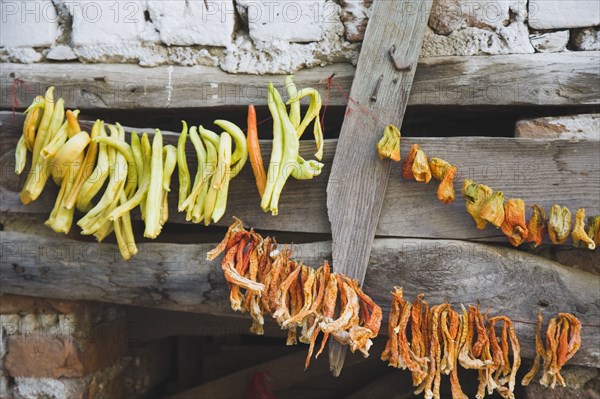 Sirince, Aydin Province, Turkey. Strings of chilies hanging up to dry in late afternoon summer sunshine against wooden window frame of building in the old town. Turkey Turkish Eurasia Eurasian Europe Asia Turkiye Aydin Province Kusadasi Chili Chilis Chilli Chillis Chillie Chillies Dried Drying Hanging Hung Pepper Peppers Capsicum Capsicums Red Color Colour Colored Coloured Orange Green Destination Destinations European Middle East South Eastern Europe Western Asia