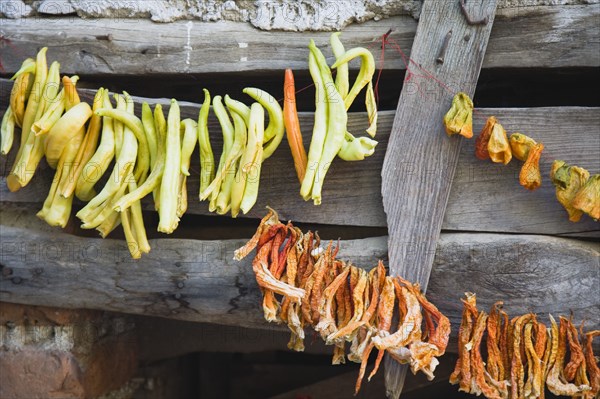 Sirince, Aydin Province, Turkey. Strings of chilies hanging up to dry in late afternoon summer sunshine against wooden window frame of building in the old town. Turkey Turkish Eurasia Eurasian Europe Asia Turkiye Aydin Province Kusadasi Chili Chilis Chilli Chillis Chillie Chillies Dried Drying Hanging Hung Pepper Peppers Capsicum Capsicums Red Color Colour Colored Coloured Orange Green Destination Destinations European Middle East South Eastern Europe Western Asia