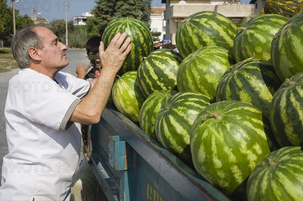 Kusadasi, Aydin Province, Turkey. Unloading fresh striped green melons delivered to the head chef at Hotel Ladies Beach. Turkey Turkish Europe European Asia Asian East West Urban Destination Travel Tourism Kusadasi Aydin Province Fruit Melon Melons Color Destination Destinations Middle East One individual Solo Lone Solitary Sand Sandy Beaches Tourism Seaside Shore Tourist Tourists Vacation South Eastern Europe Turkiye Western Asia