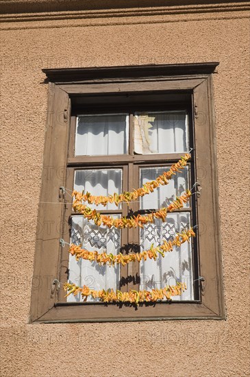 Kusadasi, Aydin Province, Turkey. Strings of yellow and orange chili peppers hanging from wooden window frame of house in the old town to dry in the summer sunshine. Turkey Turkish Eurasia Eurasian Europe Asia Turkiye Aydin Proveince Kusadasi Chili Chilli Chilis Chillis Chilie Chillies Pepper Peppers Capsicum Capsicums Window Drying Color Destination Destinations European Middle East South Eastern Europe Western Asia