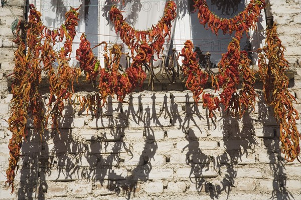 Kusadasi, Aydin Province, Turkey. Strings of red and orange chilies hung up to dry in late afternoon summer sunshine across windows of whitewashed houses in the old town casting shadows over the brickwork. Turkey Turkish Eurasia Eurasian Europe Asia Turkiye Aydin Province Kusadasi Chili Chilis Chilli Chillis Chillie Chillies Dried Drying Hanging Hung Pepper Peppers Capsicum Capsicums Red Color Colour Colored Coloured Orange Destination Destinations European Middle East South Eastern Europe Western Asia