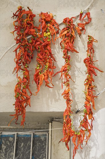Kusadasi, Aydin Province, Turkey. Strings of bright red and orange coloured chilies drying in late afternoon summer sunshine above partly seen window of whitewashed house in the old town. Turkey Turkish Eurasia Eurasian Europe Asia Turkiye Aydin Province Kusadasi Chili Chilis Chilli Chillis Chillie Chillies Dried Drying Hanging Hung Pepper Peppers Capsicum Capsicums Red Color Colour Colored Coloured Orange Destination Destinations European Middle East South Eastern Europe Western Asia