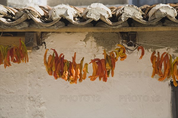 Kusadasi, Aydin Province, Turkey. Strings of brightly coloured orange and yellow chilies hanging under eaves of tiled roof of house in the old town to dry in the summer sunshine. Turkey Turkish Eurasia Eurasian Europe Asia Turkiye Aydin Province Kusadasi Chili Chilis Chilli Chillis Chillie Chillies Dried Drying Hanging Hung Pepper Peppers Capsicum Capsicums Red Color Colour Colored Coloured Orange Destination Destinations European Middle East South Eastern Europe Western Asia