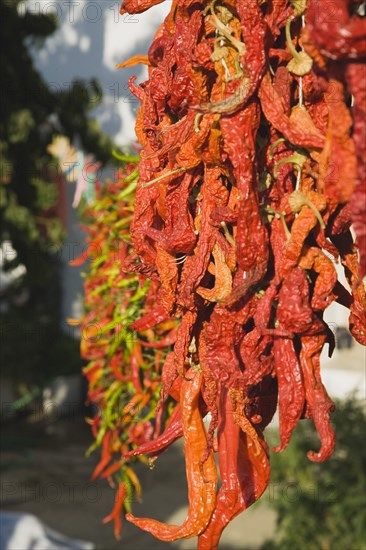 Sirince, Aydin Province, Turkey. Strings of brightly coloured red and green chilies hanging up to dry in late afternoon summer sunshine. Turkey Turkish Eurasia Eurasian Europe Asia Turkiye Aydin Province Kusadasi Chili Chilis Chilli Chillis Chillie Chillies Dried Drying Hanging Hung Pepper Peppers Capsicum Capsicums Red Color Colour Colored Coloured Orange Destination Destinations European Middle East South Eastern Europe Western Asia