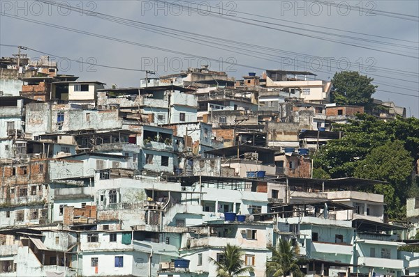 Rio de Janeiro, Brazil. Favela or slum above Centro neighbourhood with pale blue wash houses electric transmission lines and some greenery. Brasil Brazilian Brasilian South America Latin Latino American City Urban Architecture Houses Housing Homes Suade Neighborhood Neighbourhood Favela Favelas Slum Slums Church Rio de Janeiro Destination Destinations Latin America Shanty South America Southern