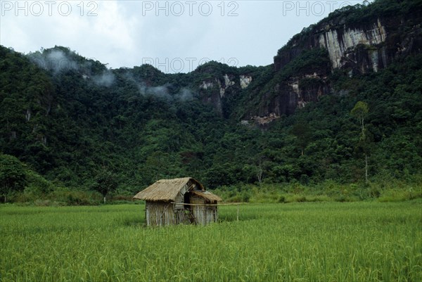 Haran Valley, Sumatra, Indonesia. Near Bukittinggi. Thatched hut standing in rice field with steep tree covered cliffs behind. Asian Blue Clouds Cloud Sky Farming Agraian Agricultural Growing Husbandry Land Producing Raising Scenic Southeast Asia Southern Agriculture White