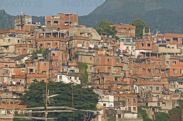 Rio de Janeiro, Brazil. Favela or slum on hillside above Copacabana neighbourhood bedcovers and washing hanging on lines unplastered red brick houses greenery and TV antenna. Brazil Brasil Brazilian Brasilian South America Latin Latino American City Urban Architecture Houses Housing Homes Copacabana Neighborhood Neighbourhood Favela Favelas Slum Slums Church Rio de Janeiro Aerial Clean Cleaning Destination Destinations Latin America Laundry Shanty South America Southern