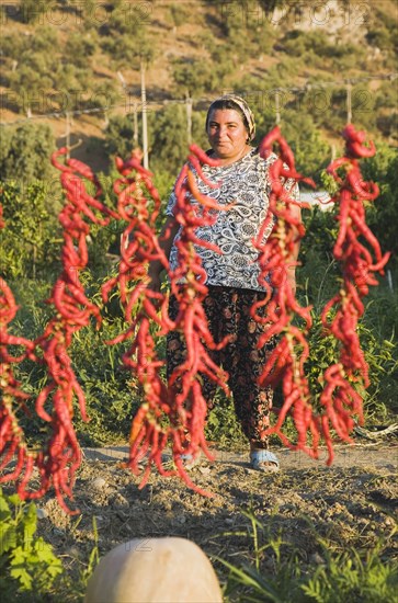 Aydin Province, Turkey. Strings of brightly coloured red chilies hanging up to dry in late afternoon sunshine on the road from Selcuk to Sirince with large gourd partly seen in foreground and woman standing on footpath behind. Turkey Turkish Eurasia Eurasian Europe Asia Turkiye Aydin Province Selcuk Chili Chilis Chilli Chillis Chillie Chillies Dried Drying Hanging Hung Pepper Peppers Capsicum Capsicums Red Color Colour Colored Coloured Orange Woman Female Farmer Gourd Destination Destinations European Farming Agraian Agricultural Growing Husbandry Land Producing Raising Female Women Girl Lady Middle East One individual Solo Lone Solitary South Eastern Europe Western Asia