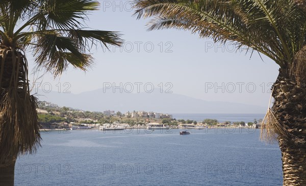 Kusadasi, Aydin Province, Turkey. Guvercin Ada or Pigeon Island the peninsula of Kusadasi. View across water framed by palm trees. Turkey Turkish Eurasia Eurasian Europe Asia Turkiye Aydin Province Kusadasi Guvercin Ada Pigeon Island Sea Water Palm Tree Palms Trees Destination Destinations European Middle East Scenic South Eastern Europe Western Asia