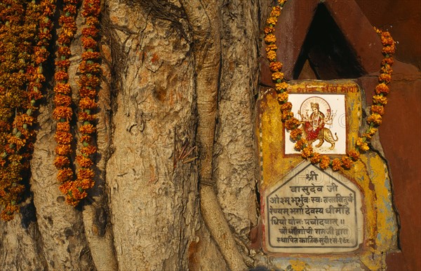 Varanasi, Uttar Pradesh, India. Detail of roadside Hindu Shrine adorned with flower garlands. Asia Asian Bharat Inde Indian Intiya Religion Religion Religious Hinduism Hindus