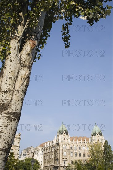 Budapest, Pest County, Hungary. Art Nouveau exterior facade part framed by tree in foreground. Hungary Hungarian Europe European East Eastern Buda Pest Budapest City Sky Blue Facade Art Nouveau Architecture Buildings Tree Bark Trees Destination Destinations Eastern Europe