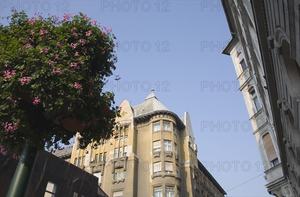 Budapest, Pest County, Hungary. Street scene with part view of Empire era apartment blocks with hanging baskets full of pink geraniums in foreground. Hungary Hungarian Europe European East Eastern Buda Pest Budapest City Street Architecture Building Buildings Detail Exterior Facade Hanging basket Flowers Geraniums Blue Sky Aprtment Block Flats Housing Home Destination Destinations Eastern Europe Flat