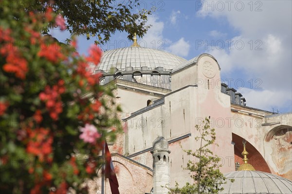 Istanbul, Turkey. Sultanahmet. Hagia Sophia Part view of exterior facade and domed roof with red geraniums in immediate foreground. Turkey Turkish Istanbul Constantinople Stamboul Stambul City Europe European Asia Asian East West Urban Destination Travel Tourism Hagia Sophia Mosque Muslim Molsem Ilsam Islamic Architecture Exterior Flaora Flowers Plants Fauna Geranium Geraniums Blue Clouds Cloud Sky Color Destination Destinations Middle East Moslem Religion Religion Religious Muslims Islam Islamic South Eastern Europe Turkiye Western Asia