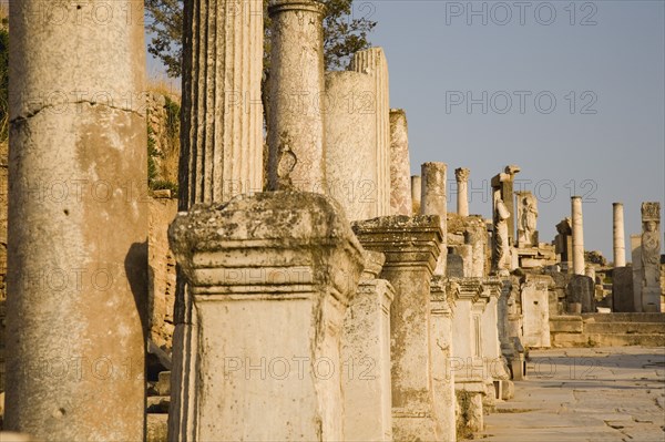Selcuk, Izmir Province, Turkey. Ephesus. Line of ruined pillars and pedestals in ancient city. Asian Destination Destinations European History Historic Middle East South Eastern Europe Turkish Turkiye Western Asia