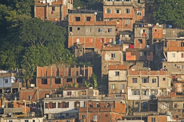 Rio de Janeiro, Brazil. Favela or slum on hillside above Copacabana neighbourhood red brick houses greenery and TV dish antenna. Brazil Brasil Brazilian Brasilian South America Latin Latino American City Urban Architecture Houses Housing Homes Copacabana Neighborhood Neighbourhood Favela Favelas Slum Slums Church Rio de Janeiro Aerial Destination Destinations Latin America Shanty South America Southern