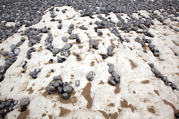 Birling Gap, East Sussex, England. Pebbles of various sizes deposited on chalk shelf by the sea. England English UK United Kingdom GB Great Britain Birtish East Sussex County Birling Gap Eastbourne Sea Coast Chalk Cliff Cliffs White Pebbles Sea Deposit Deposited Erosion Water Pattern Stone Stones Pebble