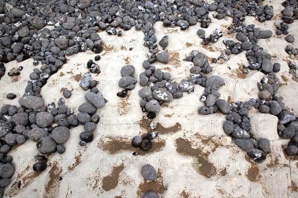 Birling Gap, East Sussex, England. Pebbles of various sizes deposited on chalk shelf by the sea. England English UK United Kingdom GB Great Britain Birtish East Sussex County Birling Gap Eastbourne Sea Coast Chalk Cliff Cliffs White Pebbles Sea Deposit Deposited Erosion Water Pattern Stone Stones Pebble