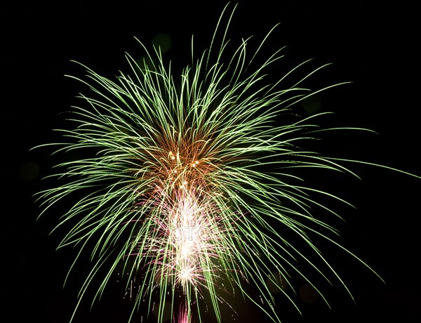 Colourful display of Pyrotechnics Shoreham Beach West Sussex England. England English UK United Kingdom GB Great Britain British Europe European Festival Festivals Guy Fawkes November Firework Display Fireworks Pyrotechnic Pyrotechnics Pyrotechnical Color Colour Coloured Colored Colourful Colorful Pattern Sky Black Green