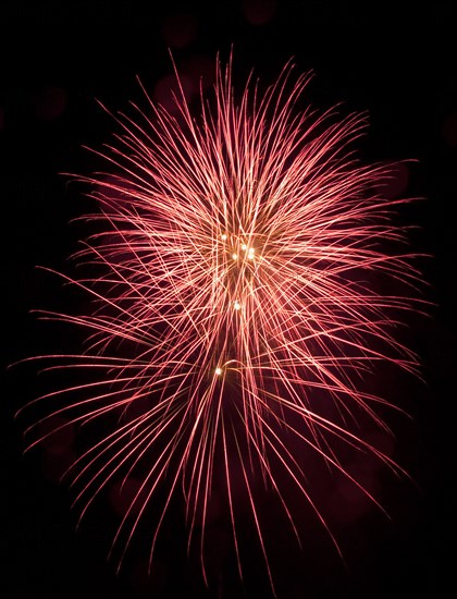 Colourful display of Pyrotechnics Shoreham Beach West Sussex England. England English UK United Kingdom GB Great Britain British Europe European Festival Festivals Guy Fawkes November Firework Display Fireworks Pyrotechnic Pyrotechnics Pyrotechnical Color Colour Coloured Colored Colourful Colorful Pattern Sky Black Red