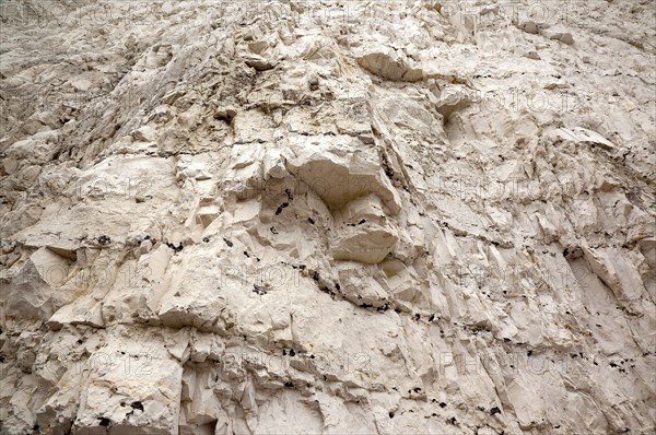 Birling Gap, East Sussex, England. Looking up at chalk cliff face showing various strata layers. England English UK United Kingdom GB Great Britain Birtish East Sussex County Birling Gap Eastbourne Sea Coast Chalk Cliff Cliffs White Layers Levels Strata Layer Geography Geographical Feature Feature