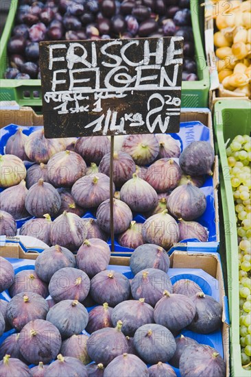 Vienna, Austria. The Naschmarkt. Fresh figs for sale on market fruit stall display. Austria Austrian Republic Vienna Viennese Wien Europe European City Capital Naschmarkt Market Display Fresh Food Fruit Fig Figs Stall Shop Store Color Destination Destinations Osterreich Viena Western Europe