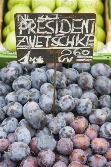 Vienna, Austria. The Naschmarkt. Fresh plums for sale on market fruit stall display. Austria Austrian Republic Vienna Viennese Wien Europe European City Capital Naschmarkt Market Display Fresh Food Fruit Plum Plums Stall Shop Store Color Destination Destinations Osterreich Viena Western Europe