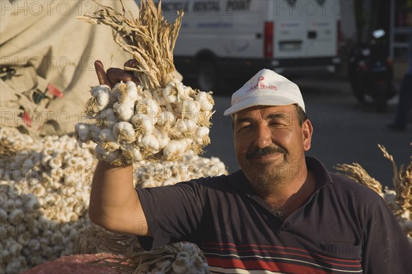 Kusadasi, Aydin Province, Turkey. Stallholder at weekly market holding up bunch of garlic bulbs with more garlic piled up and in sacks behind. Late afternoon summer sunshine. Turkey Turkish Eurasia Eurasian Europe Asia Turkiye Aydin Province Kusadasi Market Markets Stall Vendor Man Male Garlic Sacks Destination Destinations European Male Men Guy Middle East One individual Solo Lone Solitary South Eastern Europe Western Asia