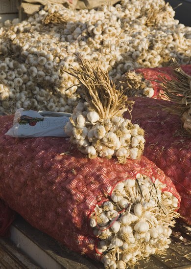 Kusadasi, Aydin Province, Turkey. Garlic for sale at weekly market. Turkey Turkish Eurasia Eurasian Europe Asia Turkiye Aydin Province Kusadasi Market markets Stall Vendor Garlic Sacks Color Destination Destinations European Middle East South Eastern Europe Western Asia