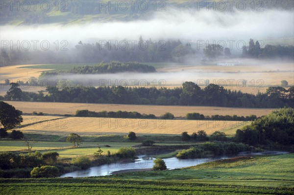 Mist, Weather, Scotland. View over farmland on misty morning. Scotland Scottish Great Britain UK GB United Kingdom Weather Mist Misty Fog Foggy Climatic Inversion Climate Cloud Clouds Atmosphere Atmospheric Morning Early Famland Fields Alba British Isles Color European Great Britain Northern Europe Scenic United Kingdom White Colour