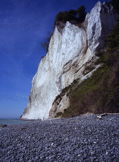 Denmark, Isle of Mon, Mons Klint, East facing chalk sea cliffs rising from flintstone beach with vegetation clinging to top and sides.  Blue sky with high windswept clouds above.