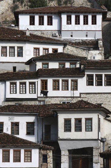 Albania, Berat, Ottoman houses in the old town with white painted exteriors and tiled roof tops.