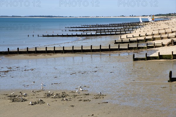England, West Sussex, Bognor Regis, Wooden groynes at low tide used as sea defences against erosion of the shingle pebble beach.