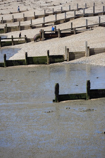 England, West Sussex, Bognor Regis, Wooden groynes at low tide used as sea defences against erosion of the shingle pebble beach with children playing near an outflow pipe and people walking up the beach.