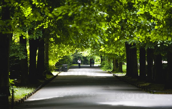 Ireland, County Dublin, Dublin City, People on the Lime Walk in the shade of trees in Saint Stephens Green Park in the city centre.