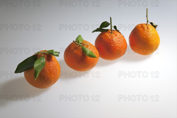 Food, Fruit, Orange, Four fresh Clementine oranges.