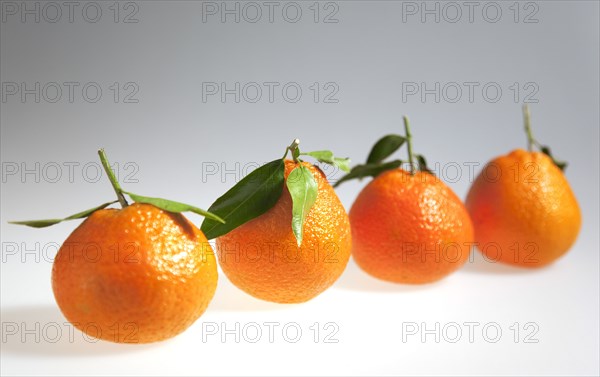 Food, Fruit, Orange, Four fresh Clementine oranges.