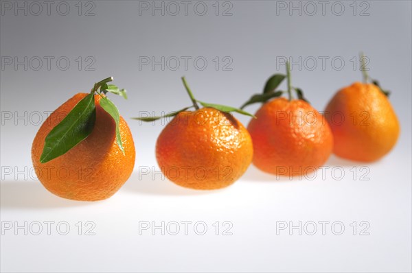 Food, Fruit, Orange, Four fresh Clementine oranges.