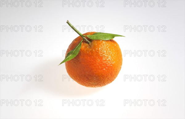 Food, Fruit, Oranges, Fresh Clementine orange.