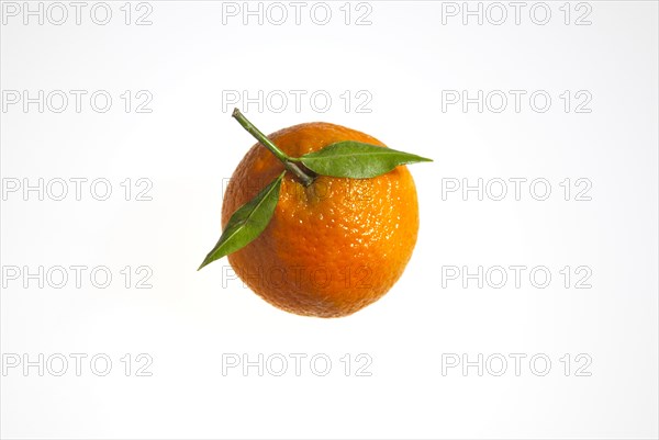 Food, Fruit, Oranges, Fresh Clementine orange.