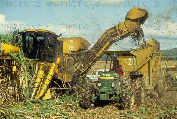 Dominican Republic, General, Harvesting sugar cane by machine.