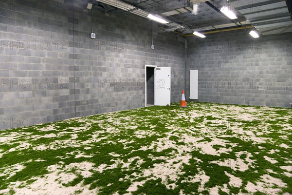 Ireland, County Dublin, Dublin City, Ballsbridge  Lansdowne Road  Aviva Stadium indoor practice area with artificial grass attached to the changing rooms of the home team.