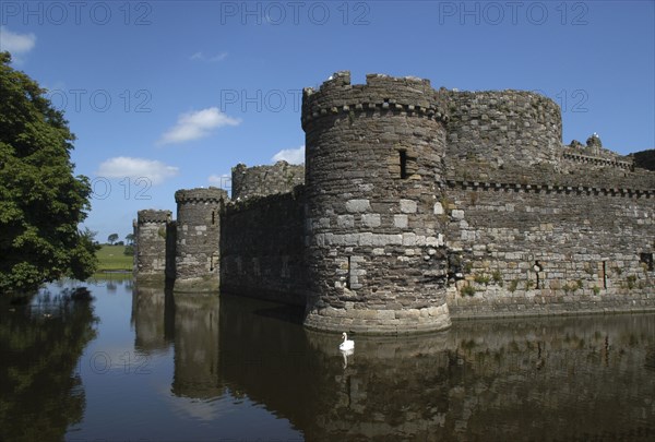 Wales, General, Conifer Castle seen over surrounding moat with floating swan