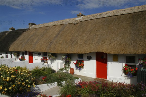 Ireland, Waterford, Dunmore East, View along row of small thatched cottages with red doors and flowers in the gardens