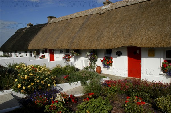 Ireland, Waterford, Dunmore East, View along row of small thatched cottages with red doors and flowers in the gardens