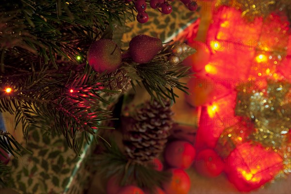 Festivals, Religious, Christmas, Detail of lights and decorations on Nordman Fir tree.
