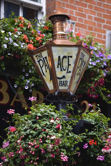 Ireland, County Dublin, Dublin City, Old copper gas lamp and flowers in hanging baskets outside the Palace Bar.