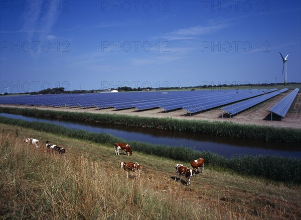 Germany, Schleswig -Holstein, Environment, Field of solar panels on the north-west coast with cattle grazing beside a dyke.