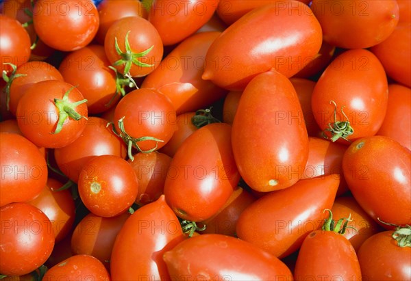 Agriculture, Fruit, Tomato, Mixed varieties of ripe organic red tomatoes.