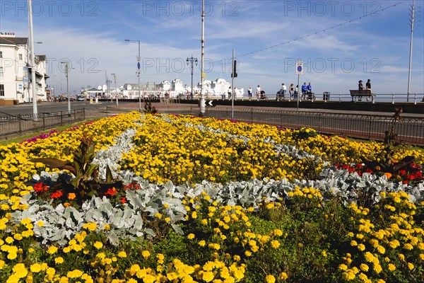 South Parade Pier built in 1908 on the seafront in Southsea with a floral garden display in the foreground. Photo : Paul Seheult
