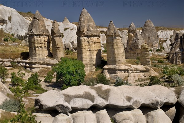Love Valley. Group of phallic shaped fairy chimney rock formations in popular valley outside Goreme. Photo : Hugh Rooney